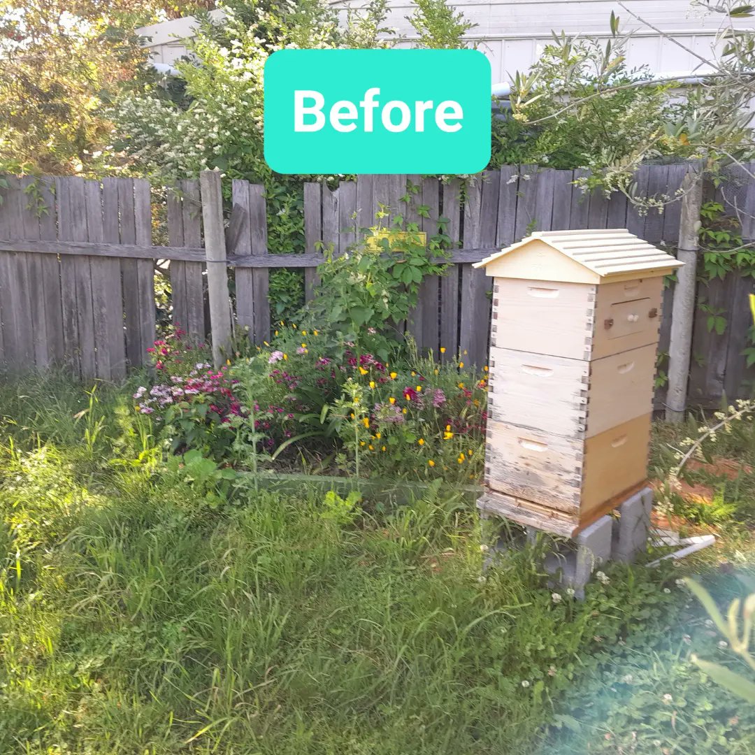 indeliblehuman's tweet photo. Decided to give my @flowhive a makeover 😄🐝🐝🐝 https://t.co/PAkmXi5Y3K