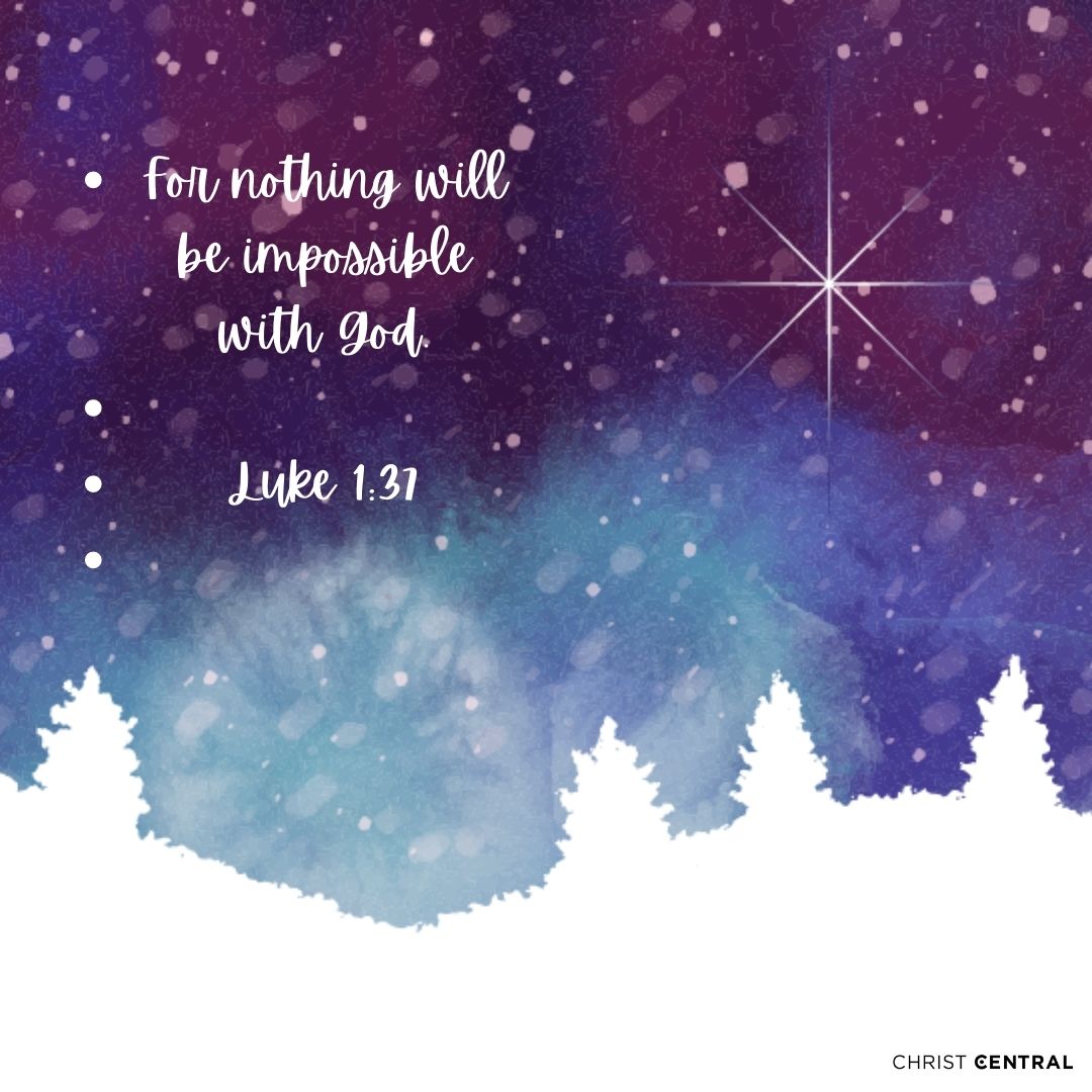 Insta:instagram.com/p/Cmd1EQUoaF9/ // Things are possible....
 #christmas #rejoice #Jesus