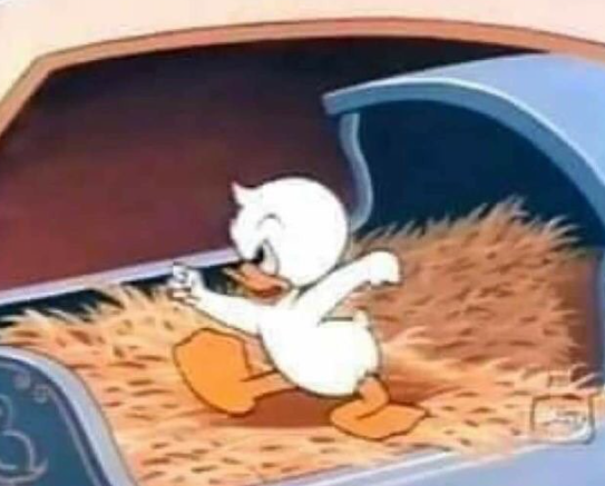 Flantasma1's tweet photo. Lo mejor que verás hoy: Donald recién nacido, enojado por haber nacido https://t.co/2wKNQq20vS