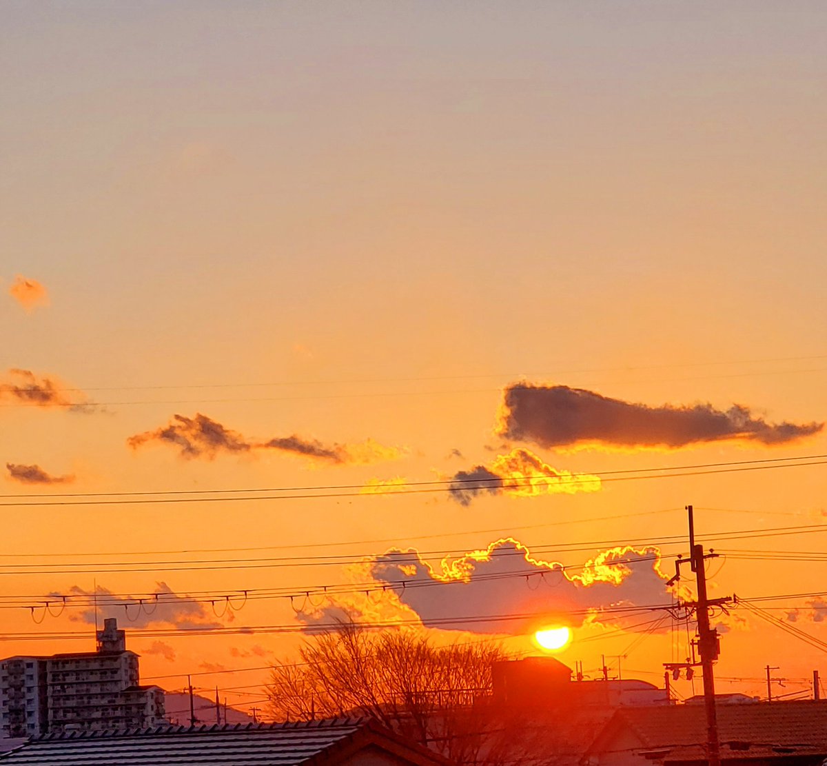 こんばんは☺️ 本日もお疲れ様です🍀 今日の夕日綺麗でした☀️ 晩ごはんは、昨日の鮭鍋のお出汁で おじやをしました😊 あと、作り置き２品と フルーツと手作り豆乳コーヒーゼリー