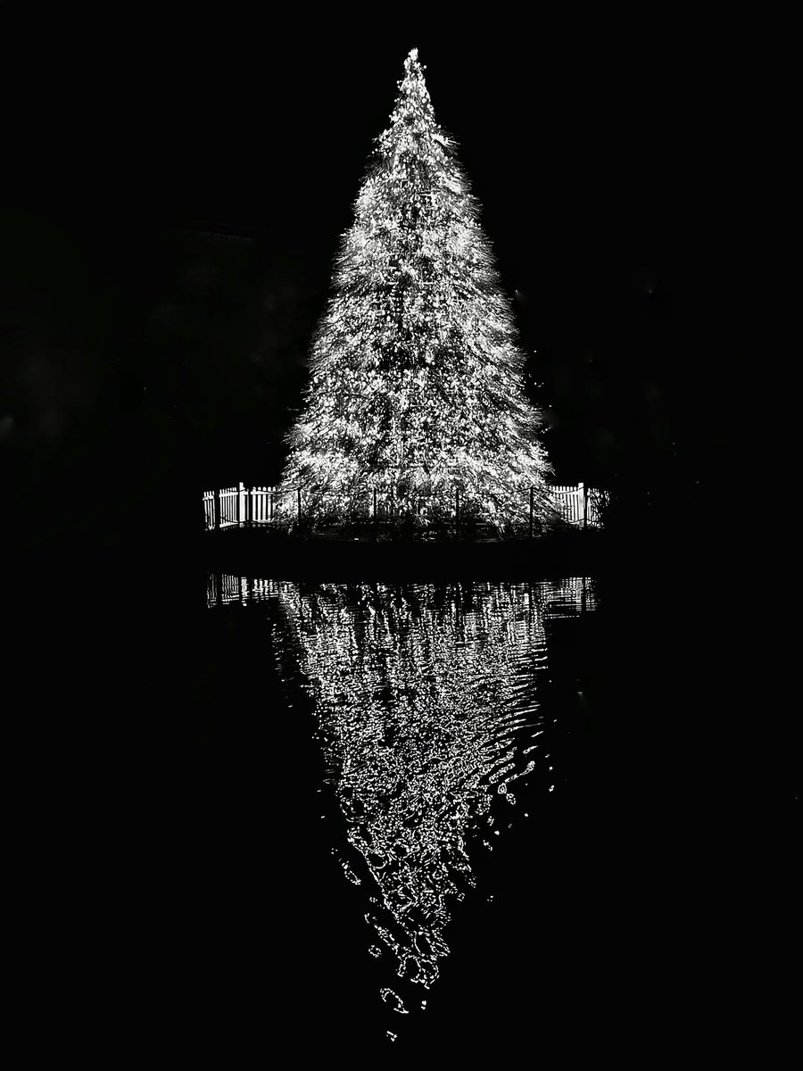 ‘Tis the season 🎄

instagram.com/p/Cmd3Ct7IJJN/…