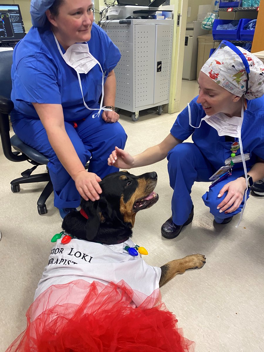 UMD_Anesthesia tweet media
