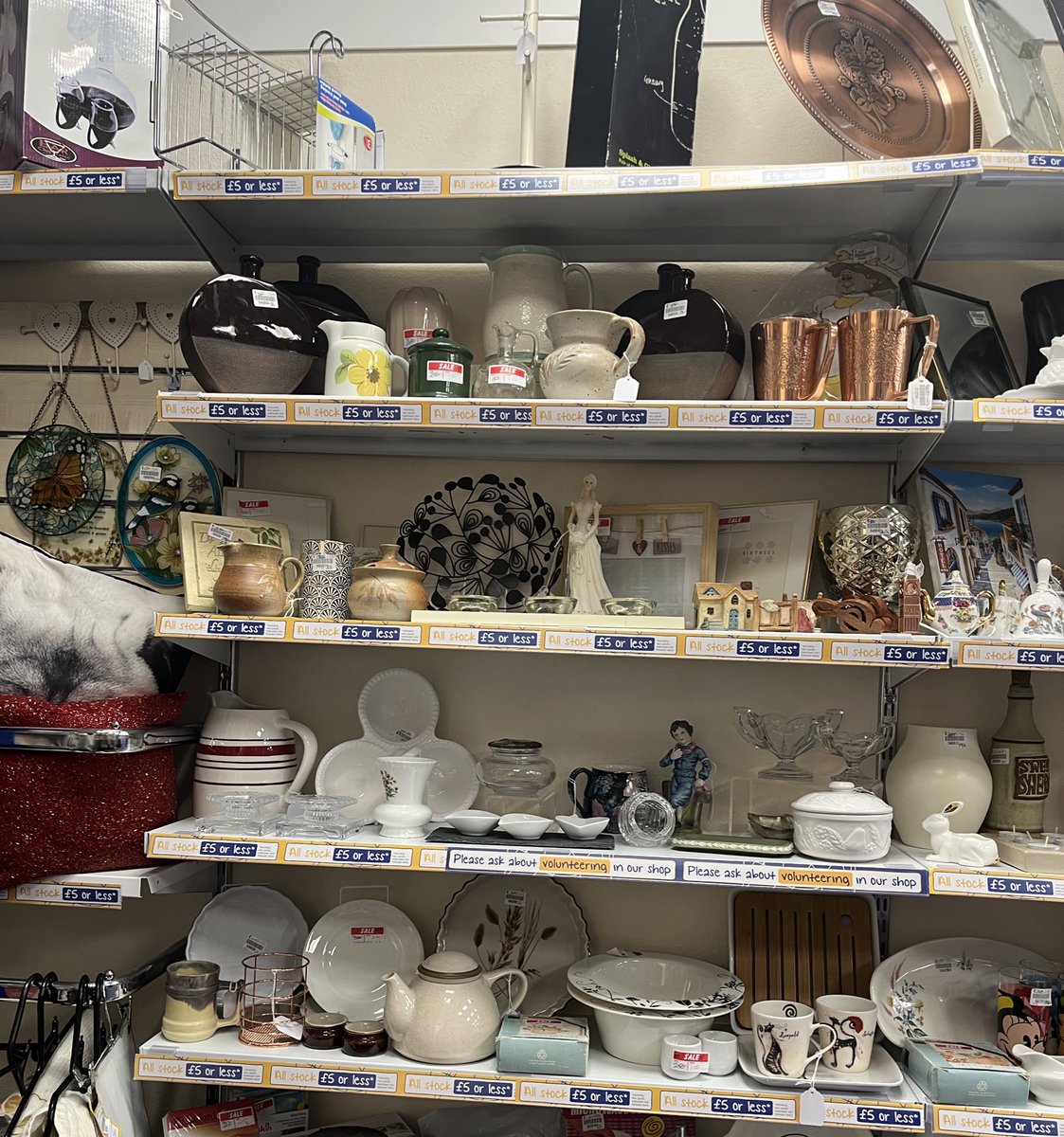mindshopgranth2's tweet photo. Our Huge selection of bric a Brac today! Pop in before it goes quick
#mindshop #mindgrantham #mymindshop #mindcharity https://t.co/SRzSSKMRs8