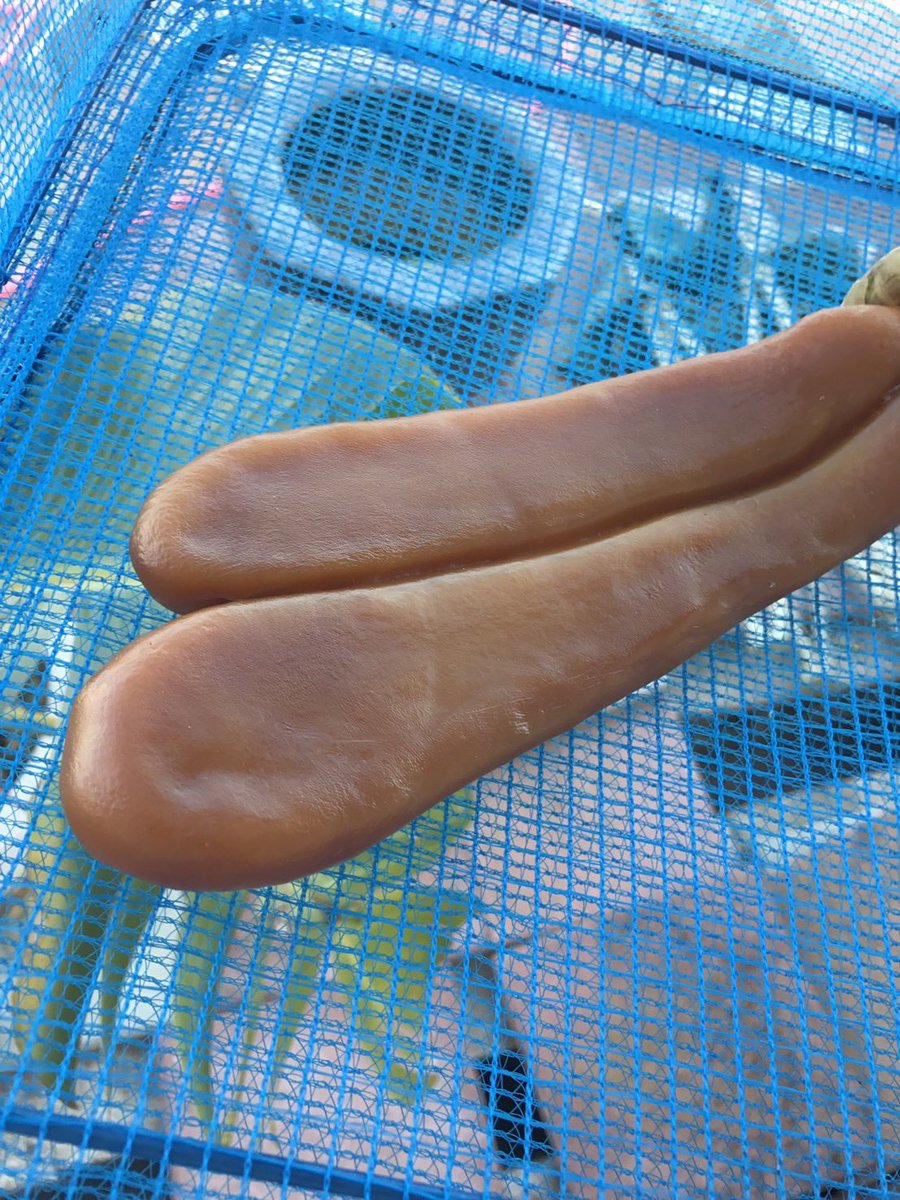 Yuxi (@synchronicnotes) / Posts / X