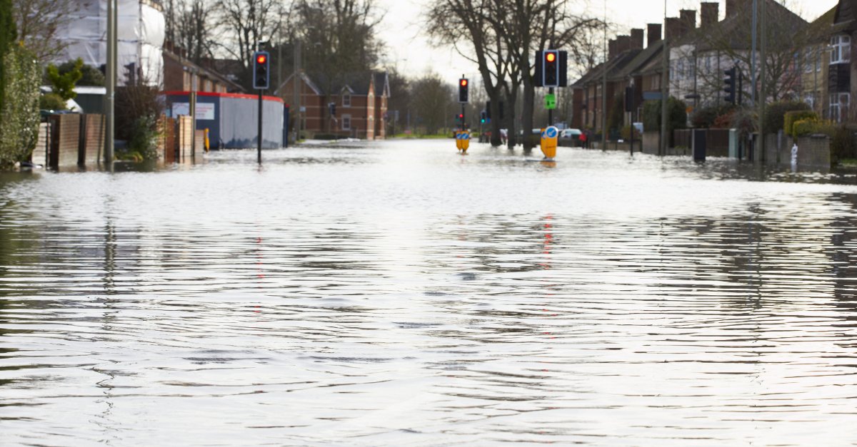 Nederland is bekend om 't poldermodel, waarbij alle belangen zorgvuldig worden afgewogen voordat keuzes worden gemaakt. Collega's Maud &amp; Laurens over waarom dit model te veel tijd kost voor de huidige klimaatverandering.
sowo.kr/f6d785Mz
