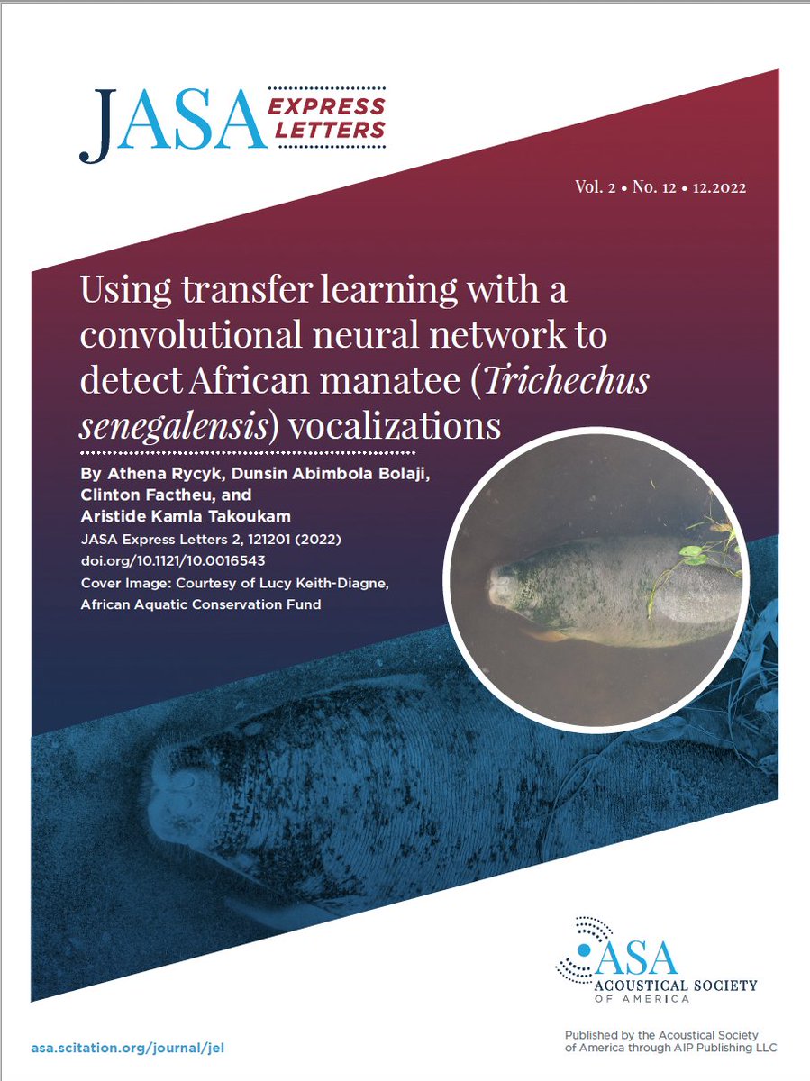 New cover! This month features "Using transfer learning with a convolutional neural network to detect African manatee (Trichechus senegalensis) vocalizations."  doi.org/10.1121/10.001…

<a href="/NewCollegeofFL/">New College of Florida</a> <a href="/ProfRycyk/">Athena Rycyk</a>  <a href="/NiomrLagos/">NIOMR, Lagos</a> <a href="/DrDunsin/">Dr. Bolaji Dunsin</a> <a href="/AMMCO_SIREN/">AMCO</a> <a href="/factheu/">Clinton Factheuᅠᅠᅠᅠᅠᅠᅠ</a> <a href="/KamlaTakoukam/">Aristide Takoukam Kamla</a>