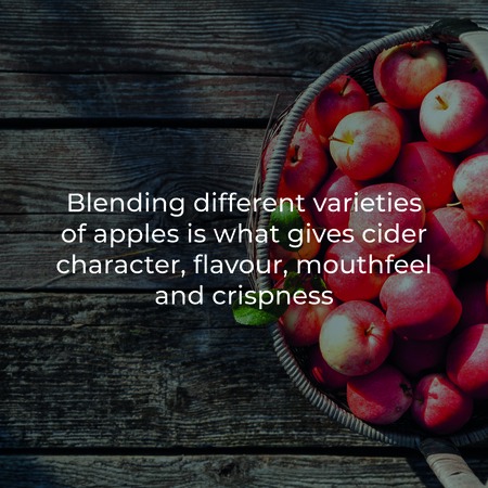 SheppysCider's tweet photo. Every month we put one of your cider questions to David Sheppy. This monthβs question was 'Are your ciders a mixture of different apple varieties or one?'
Here is what David has to say π https://t.co/8fU9Nz3QIN #SheppysLife #Cider #SomersetCider #CiderLovers https://t.co/4B6tas5rpQ