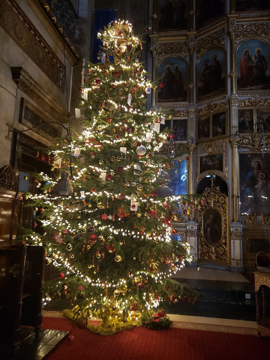 BahriEmil's tweet photo. Nice tree green https://t.co/HivvRNYDQW