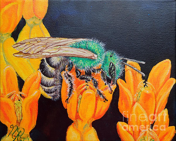 enchantedcraft's tweet photo. New artwork for sale! - "Bi colored bee on milkweed" - https://t.co/32xhPgHNEo @fineartamerica https://t.co/sNt8cRHydA