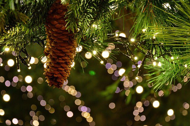 DMorneau's tweet photo. Doublelight Productions International souhaite de Joyeuses fêtes, une Bonne Année et de la bonne santé à tous. Wishing all Happy Holidays and Happy & Healthy New Year. #videos #communications #Web #DoublelightProductions https://t.co/vVepYa1amv