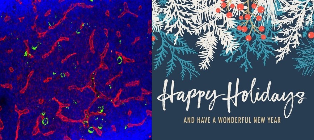GuezguezL's tweet photo. Greetings and best wishes from the Guezguez lab! π§βπ¬π©βπ¬π¬π¦΄#boneimaging #hematology #HSCniche https://t.co/jJGiV2ZkJZ