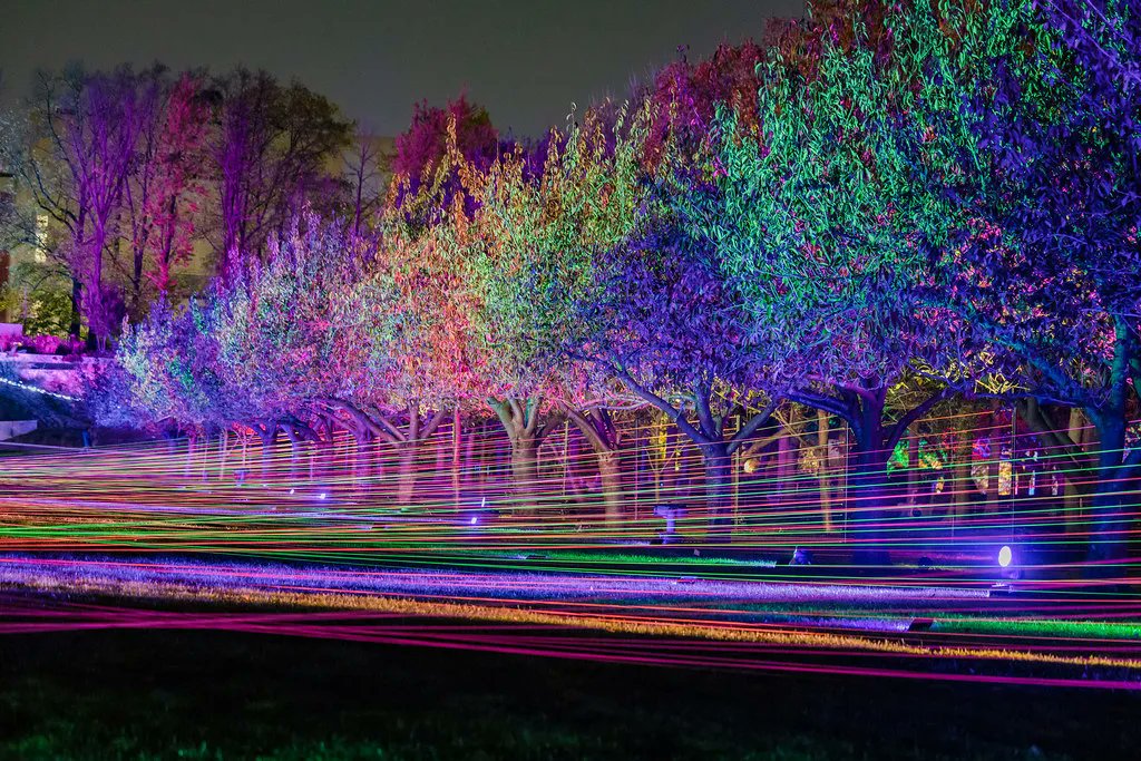 BBG will be closed tonight and tomorrow due to forecasts of high winds and gusts. We look forward to reopening on Saturday!

Lightscape ticket holders for Dec 22 and 23, and daytime ticket holders for Dec 23, will be emailed directly about how to exchange their tickets.