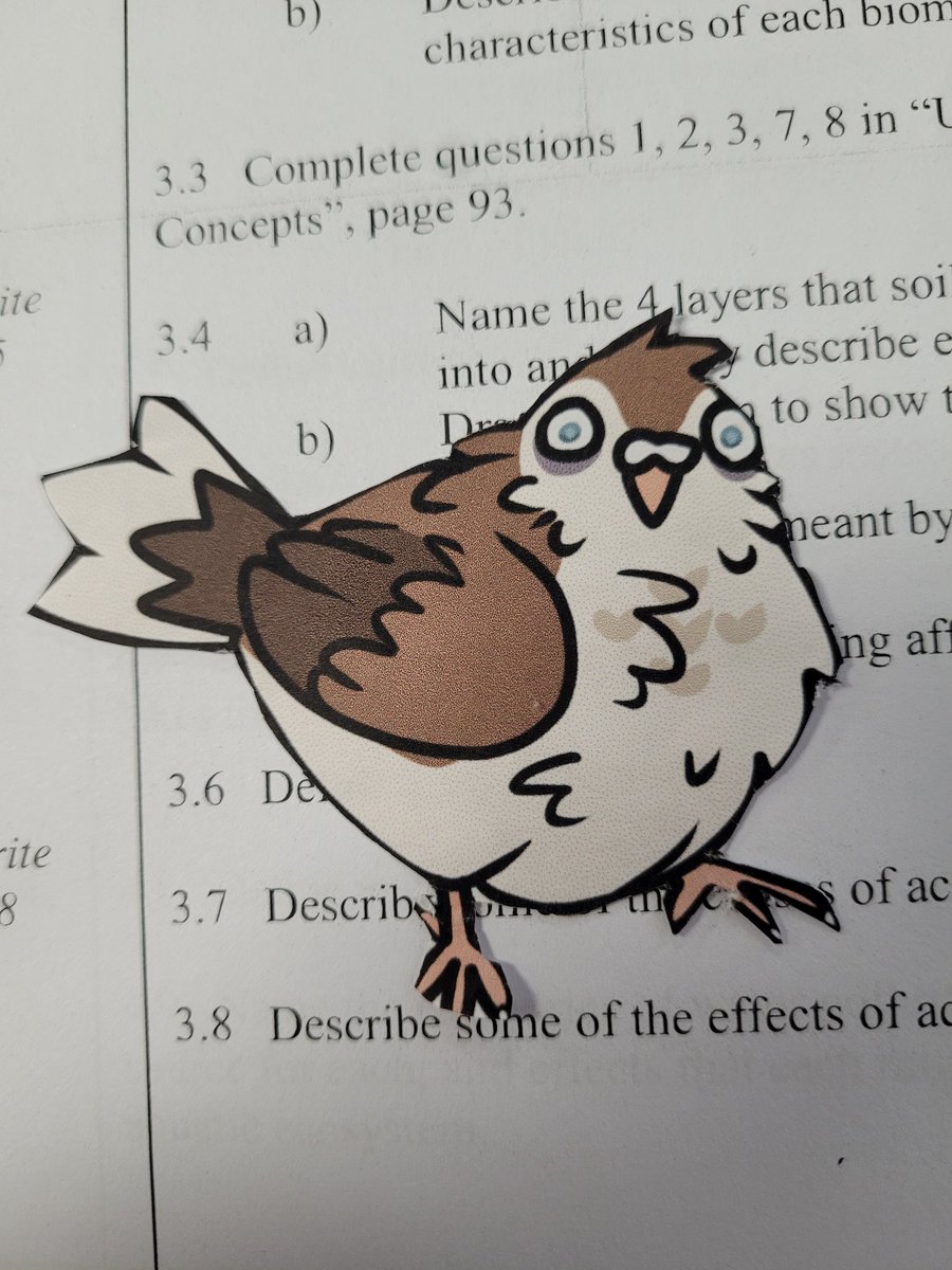 Panicpigeon's tweet photo. Sorry iv been so busy all my time has been taken up by school 
So now Jay is with me to still make content haha
Lots of commissions to work on Christmas break starts tomorrow wooo https://t.co/TZ12JQDrYb