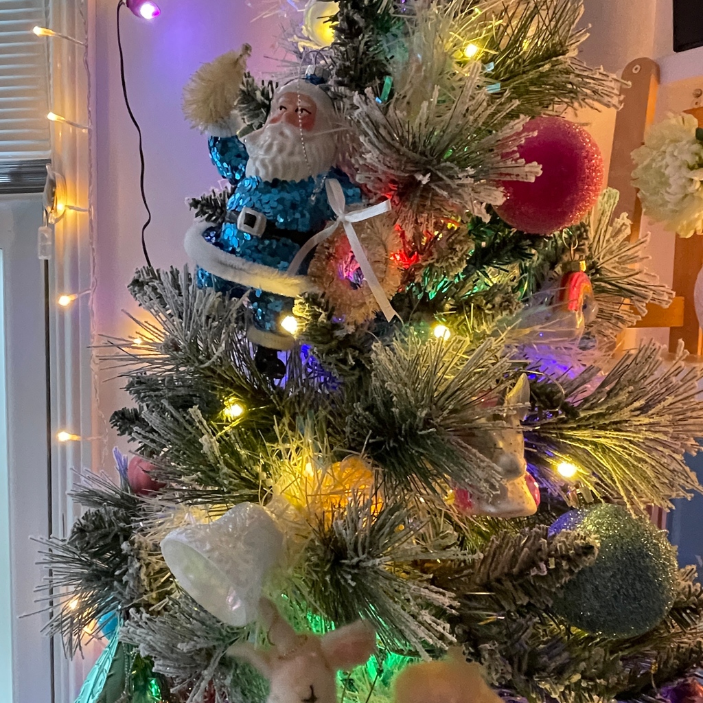 A touch of festive cheer from our head of comms, embracing some fun kitschmas vibes. A blue sequin Santa is surely a must 🎄🎄🎄

#kitschmas #deckthehalls #christmastree
