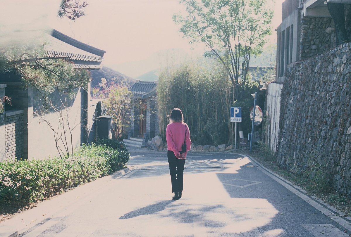LuElven's tweet photo. 🎞️ Pic by 🦆 https://t.co/MA6z388mqO