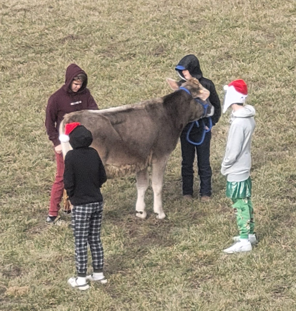 Shout out to <a href="/MCM_Principal/">Donna Jones Hocker</a> for winning the opportunity to kiss the cow! 💋🐮 Students raised money for the cancer research foundation and celebrated at our House Rally! <a href="/mcmspartans/">@MCMSpartans</a> <a href="/MCMSAP/">Megan Tillery</a> <a href="/McdanielCarrie/">Carrie McDaniel, NBCT</a> <a href="/mcms_mrsraley/">Hollie Raley</a>