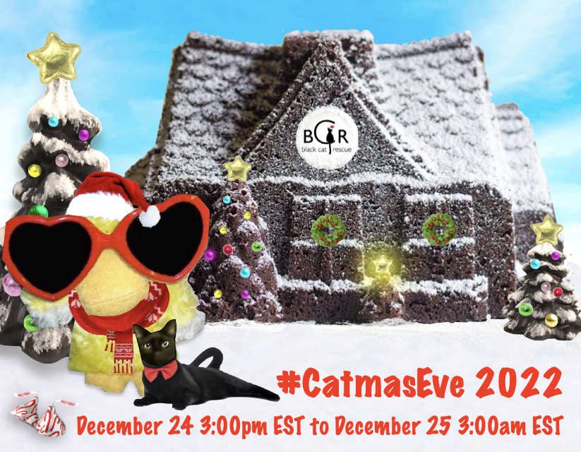 Catmaseve tweet media