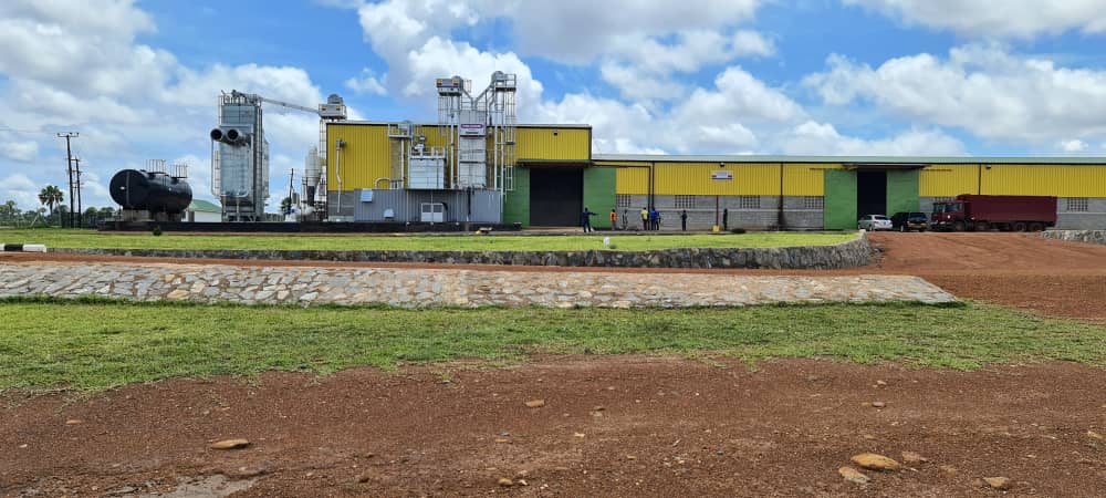 PelaCommodities's tweet photo. Don't let aflatoxins compromise the safety and quality of your grain - invest in good drying and storage equipment to prevent contamination or you can use the services at Pela. 
Contact us on +256 701 750015 or +256 707 309230 https://t.co/gdoW7GLob0