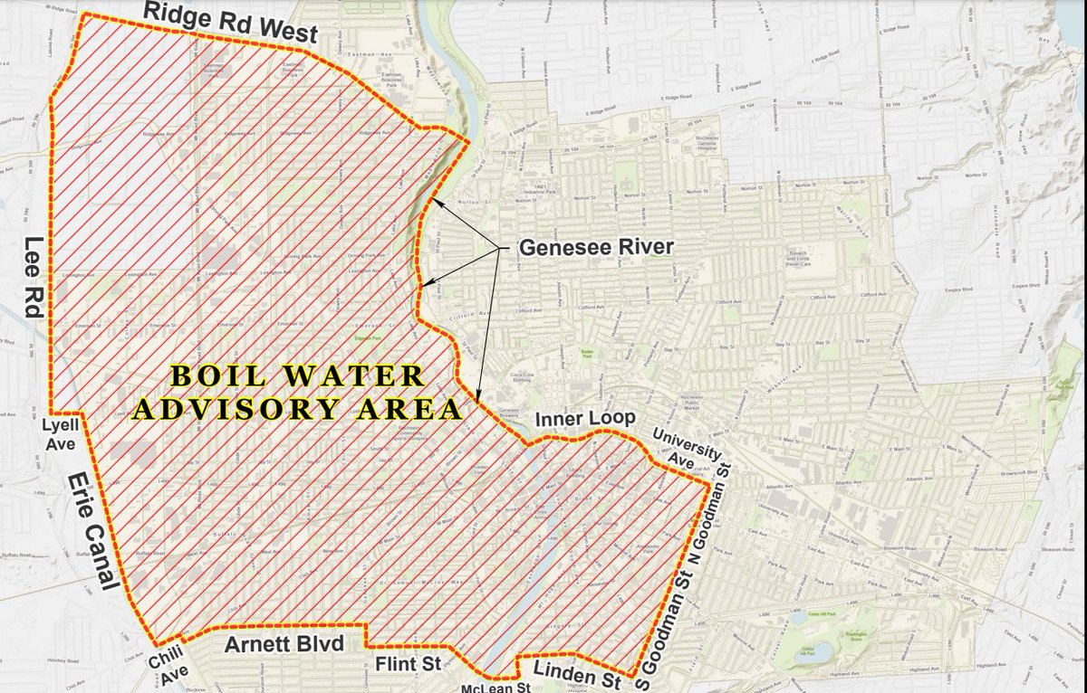 Alex Love tweet media