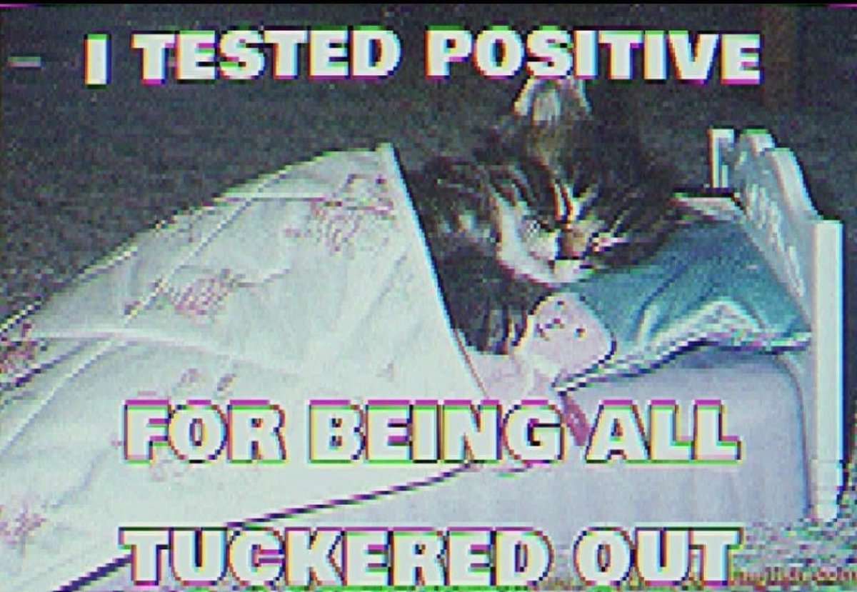 ‍ ‍ ‍ ‍ ‍‍ ‍✧˚ · . 𝑛𝑜𝑐𝑡𝑖𝑠 (@crowncrypt) on Twitter photo 