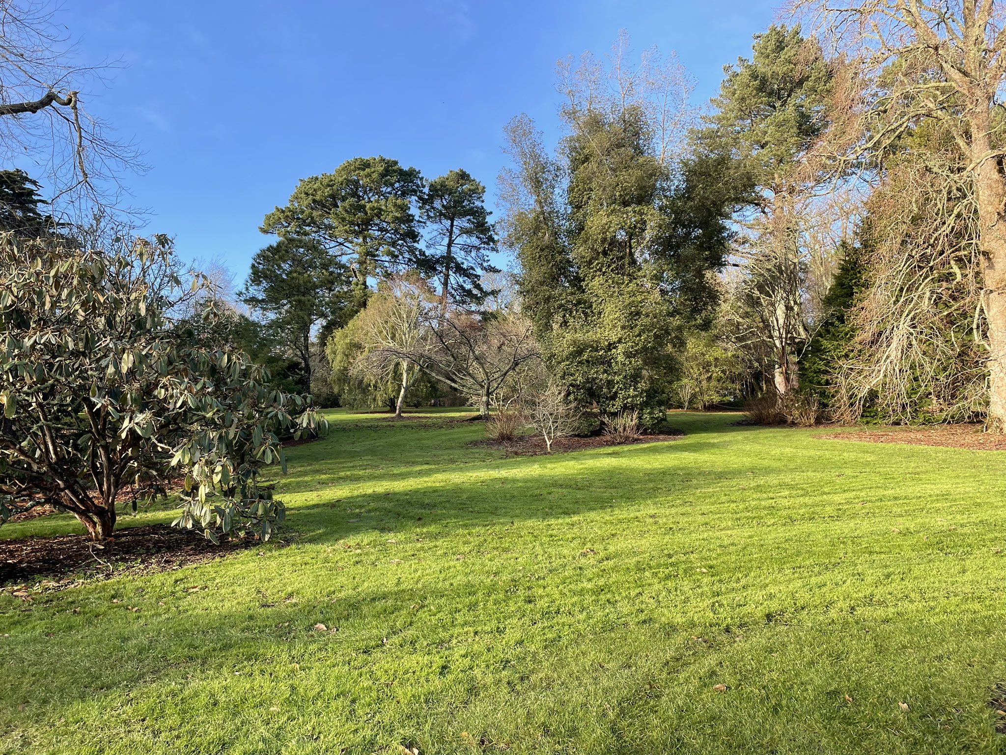 Trelissick (NTTrelissick) / Twitter