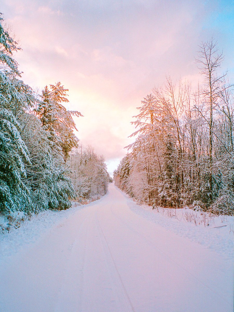 The film.                🤝              The photos.