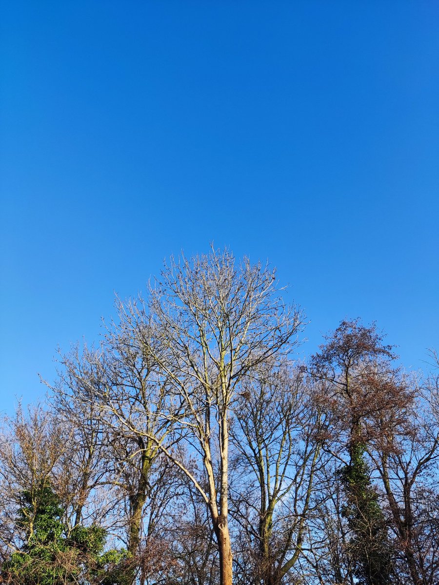 Trish582's tweet photo. #DiscoDancingDecember, it's an on/off month I guess, not very consistent when it comes to being active, but I did 12 kilometers of cycling and walking today, as it was lovely weather this morning. Enjoy your evening ๐ https://t.co/5aHyvXiSBt