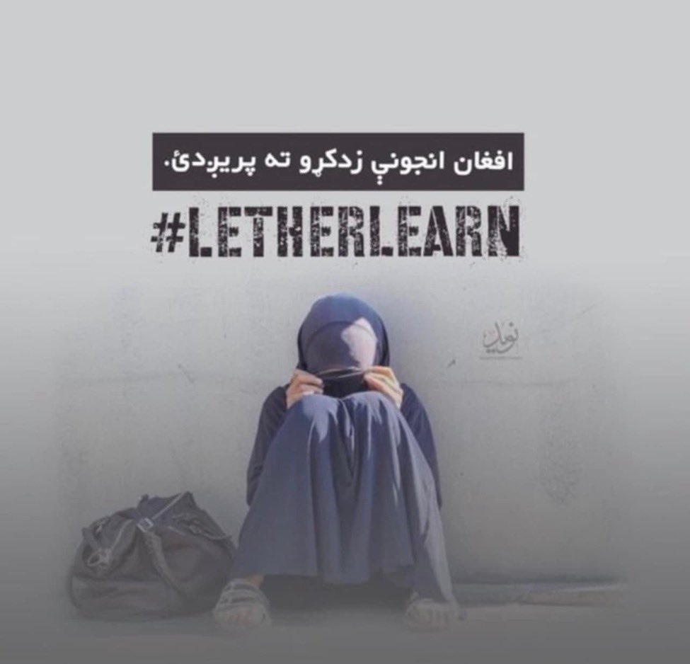 HelalRohani's tweet photo. غربته لږ مې پريده دا وختونه محترم دي
دا لاس کتاب له جوړ دي او دا ګوتې د قلم دي
عباس تنها
#letafgangirlslearn https://t.co/F6TuSd9AwK https://t.co/j0QYcTYCMl