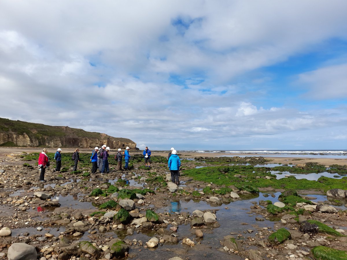 tynetotees's tweet photo. Tender opportunity!
SeaScapes is looking for a provider to deliver 3 x 3D Virtual Interactive Field Trips as part of our #ReadingTheRocks project.
For full info and enquiries please visit: https://t.co/myKZ12Bd15
#tenderopportunity #procurement https://t.co/XfPIyv99oC