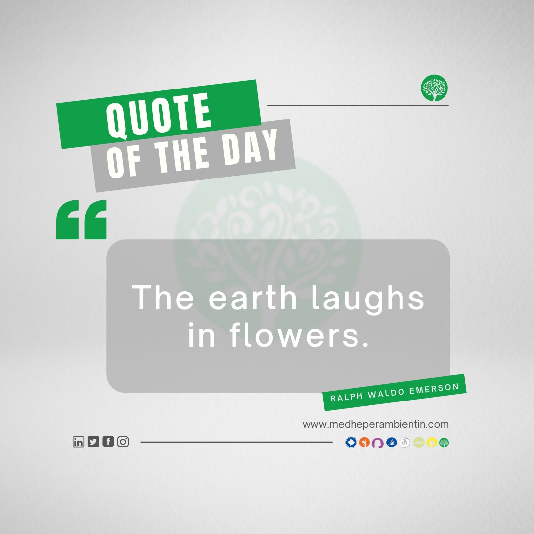 mdpambientin's tweet photo. Quote of the day...

#earth #world #laughs #flowers https://t.co/qswjMLdHOy