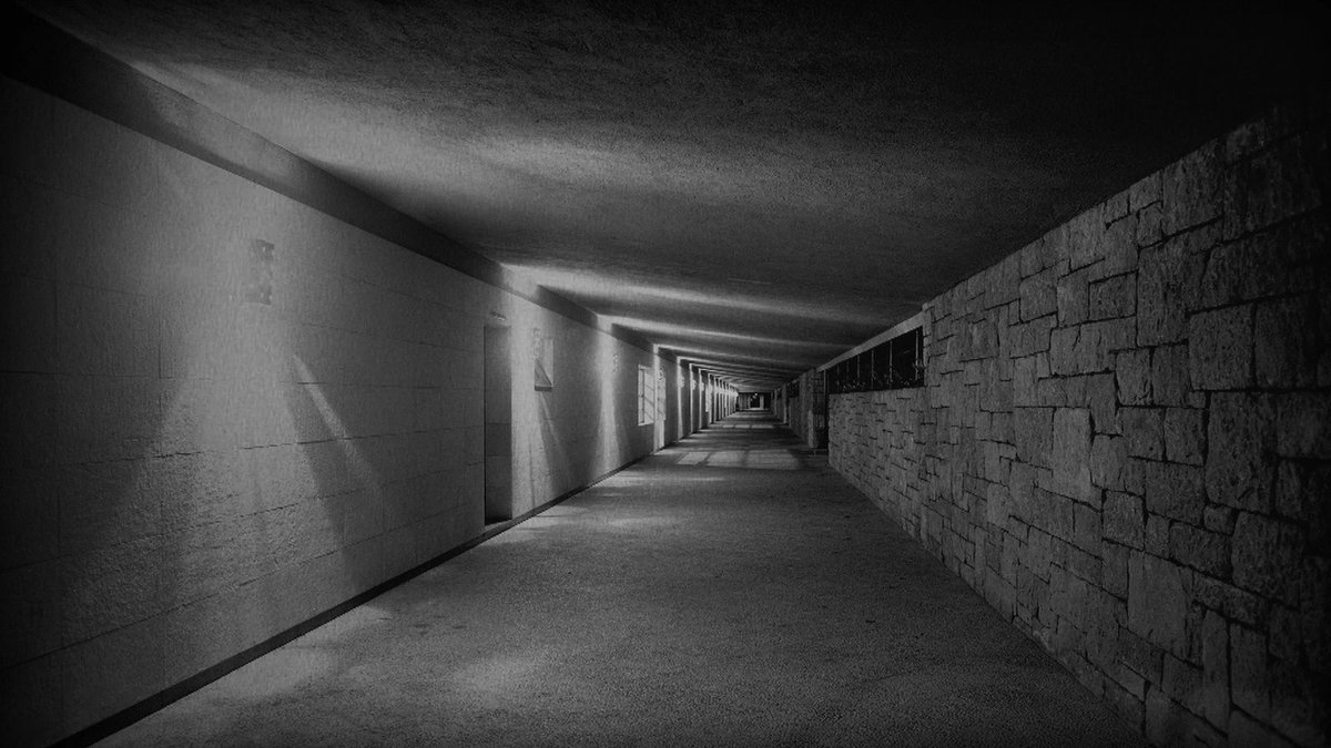 Avui, a les 22.15, <a href="/eldocumental33/">El documental</a> celebra #ElDiaMésCurt amb un programa de curtmetratges:

🎞️"Abans que em mori", d'Iker Esteibarlanda
🎞️"Ulisses", de <a href="/boverpalma/">Joan Bover 🦍</a>
🎞️"GreyKey", d'Enric Ribes
🎞️"Labo", “Labo”, de Jesús María Palacios

➡️ccma.cat/premsa/el-docu…