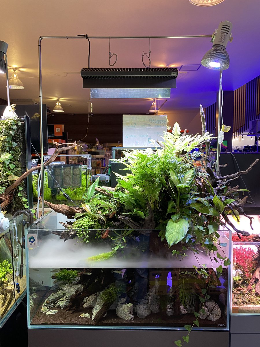 Zoox ミスティーク９０ 熱帯魚 アクアリウム 無脊椎 アクアテイラーズ Containercorp Cl