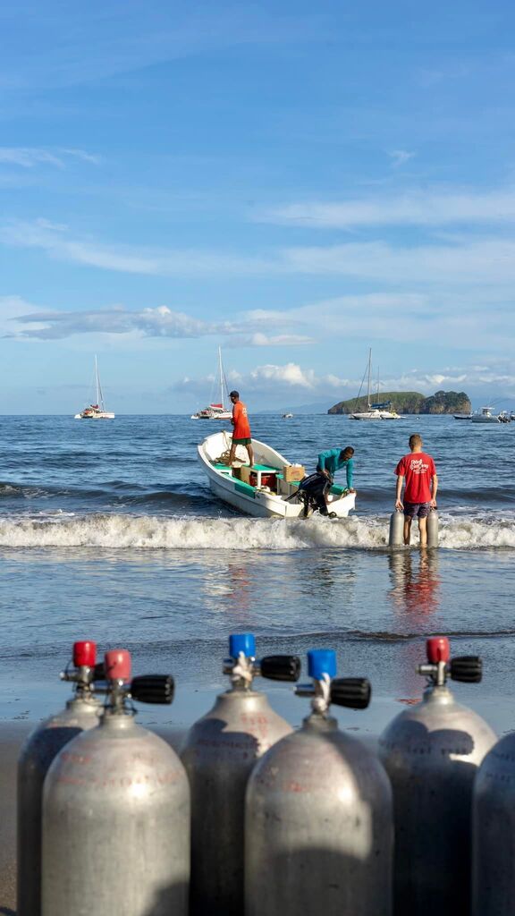 diveoclockpro's tweet photo. Rich Coast Diving, Playas del Coco, Costa Rica 🐠
🎓 PADI Divemaster & PADI IDC Courses + Internships
👉 https://t.co/b5hAsWifDP 👈
_______________________________________________
#padiidc #scuba #scubadiving #costarica #playasdelcoco https://t.co/KKXBloMa6e
