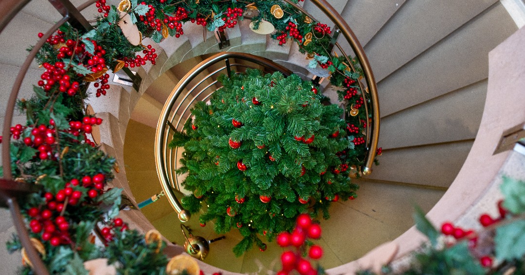 graysonsuk's tweet photo. These are just a few of our favourite shots of the venues dressed for Christmas!
@113ChanceryLn @FFITCVenue
#hospitality #catering #eventprofsuk #eventprofslondon #christmas2022 #christmas #christmasparty #londonvenues #graysons #christmasdecor #london https://t.co/a3xxcKjyT0
