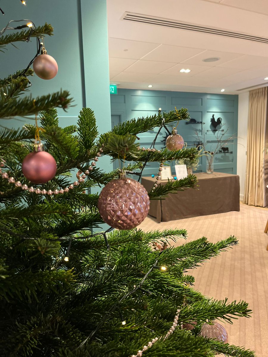graysonsuk's tweet photo. These are just a few of our favourite shots of the venues dressed for Christmas!
@113ChanceryLn @FFITCVenue
#hospitality #catering #eventprofsuk #eventprofslondon #christmas2022 #christmas #christmasparty #londonvenues #graysons #christmasdecor #london https://t.co/a3xxcKjyT0