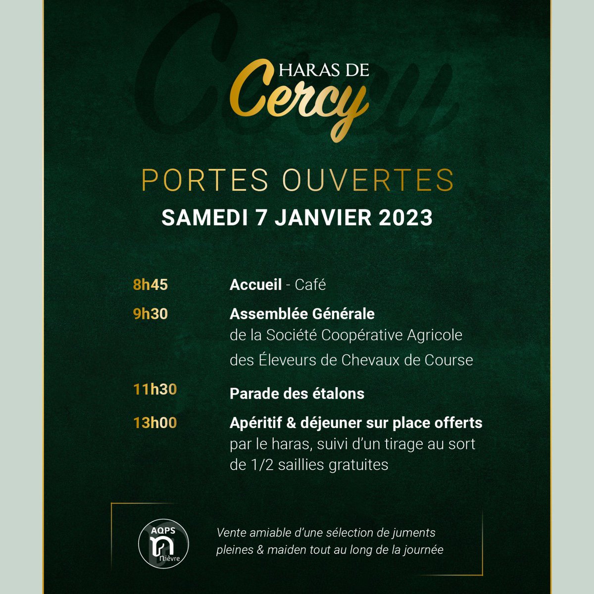 HarasDeCercy's tweet photo. 𝗥𝗗𝗩 𝗟𝗘 𝗦𝗔𝗠𝗘𝗗𝗜 𝟳 𝗝𝗔𝗡𝗩𝗜𝗘𝗥 𝗣𝗢𝗨𝗥 𝗡𝗢𝗦 𝗣𝗢𝗥𝗧𝗘𝗦 𝗢𝗨𝗩𝗘𝗥𝗧𝗘𝗦 !
Venez découvrir ou redécouvrir nos 9 étalons 2023 :
#Cokoriko
#Headman
#Ivanhowe
#JeuStSloi
#Karaktar
#PrinceGibraltar
#Tunis
#Waldpark
#Zaskar https://t.co/Or5Js0D54x