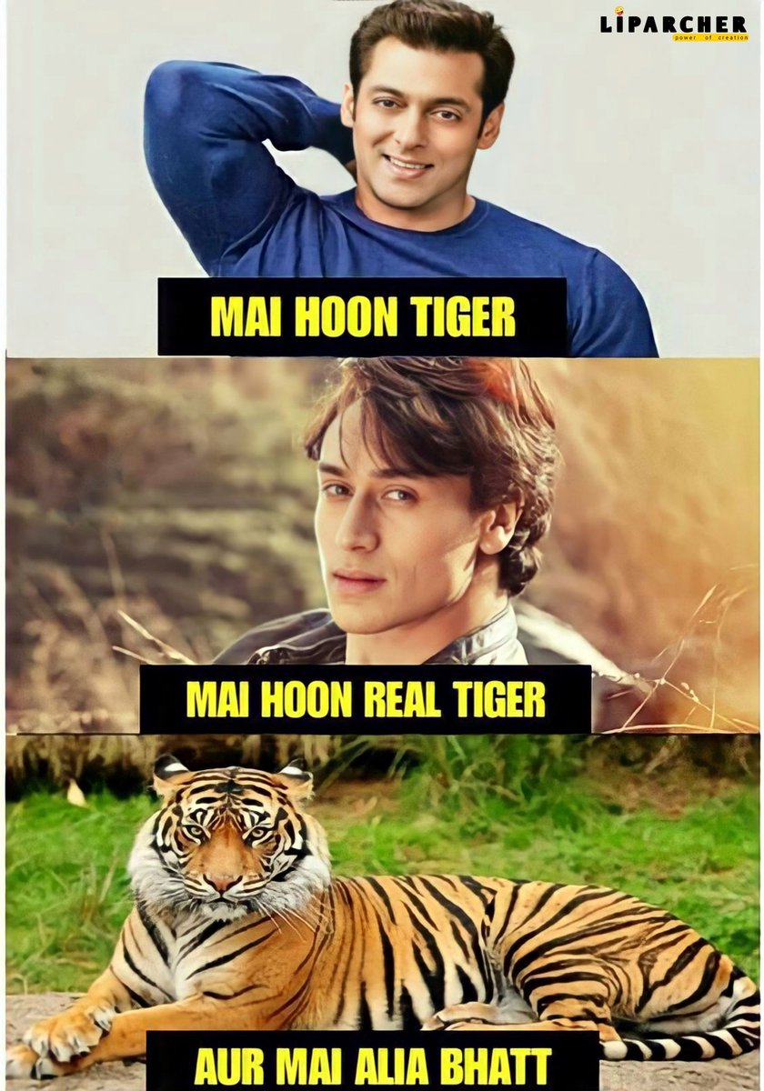 LIPARCHER1's tweet photo. TIGER🐯 😅
#TWWET #tweetme #MEMES #memes2022 https://t.co/uLVcln1swl