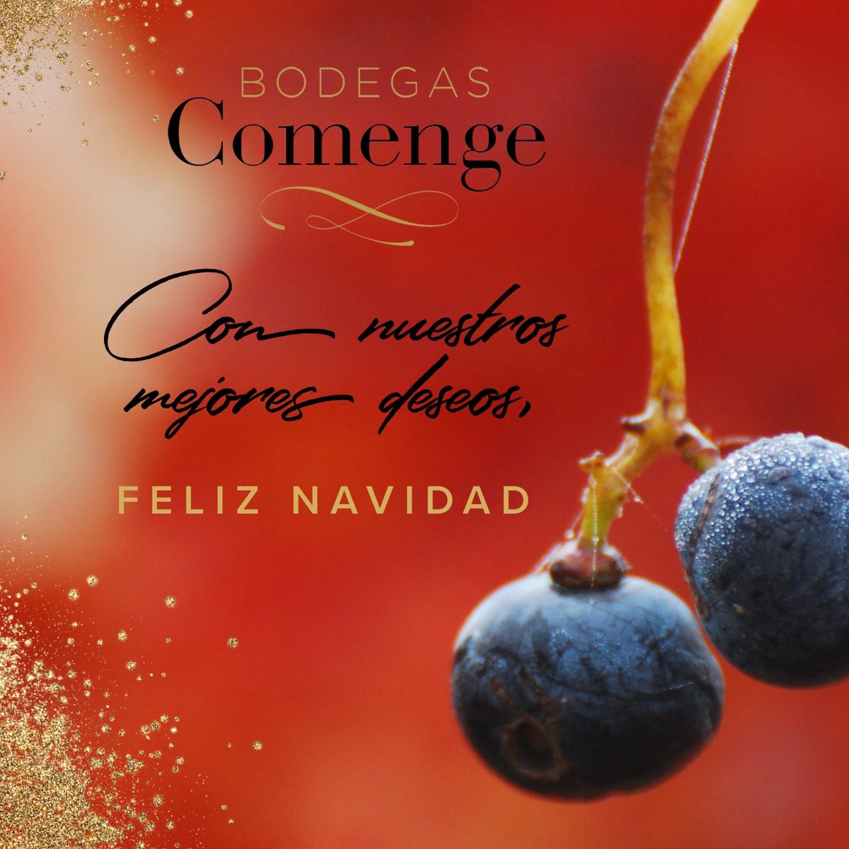 ComengeBodega's tweet photo. Todo el equipo de Bodegas Comenge os deseamos unas muy felices fiestas acompañados de vuestros seres más queridos. 🥳🎄
¡Brindamos a vuestra salud!
#BodegasComenge #vendimiacomenge2021 #riberadelduero #riberadelduerowine #familiacomenge #organicvineyards #vinosnavidad https://t.co/rlJsXdSOCC