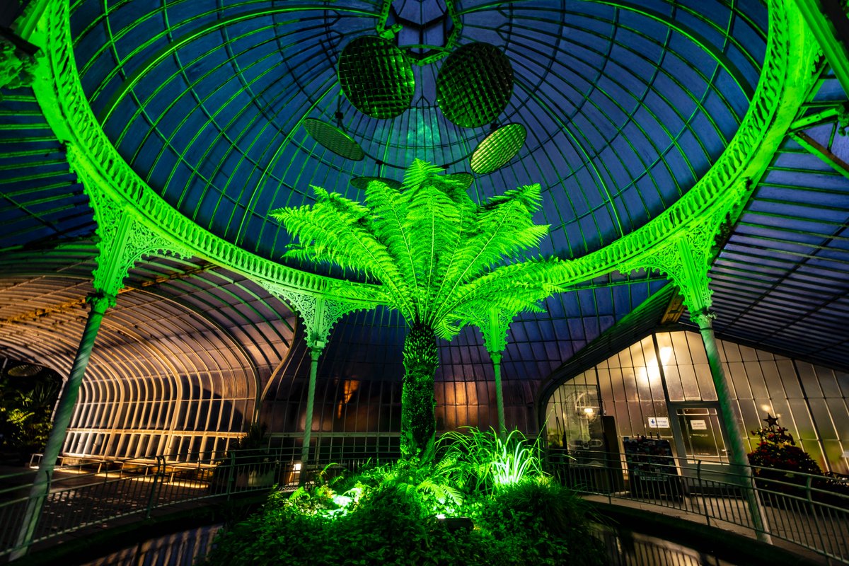 Peter Devlin tweet media