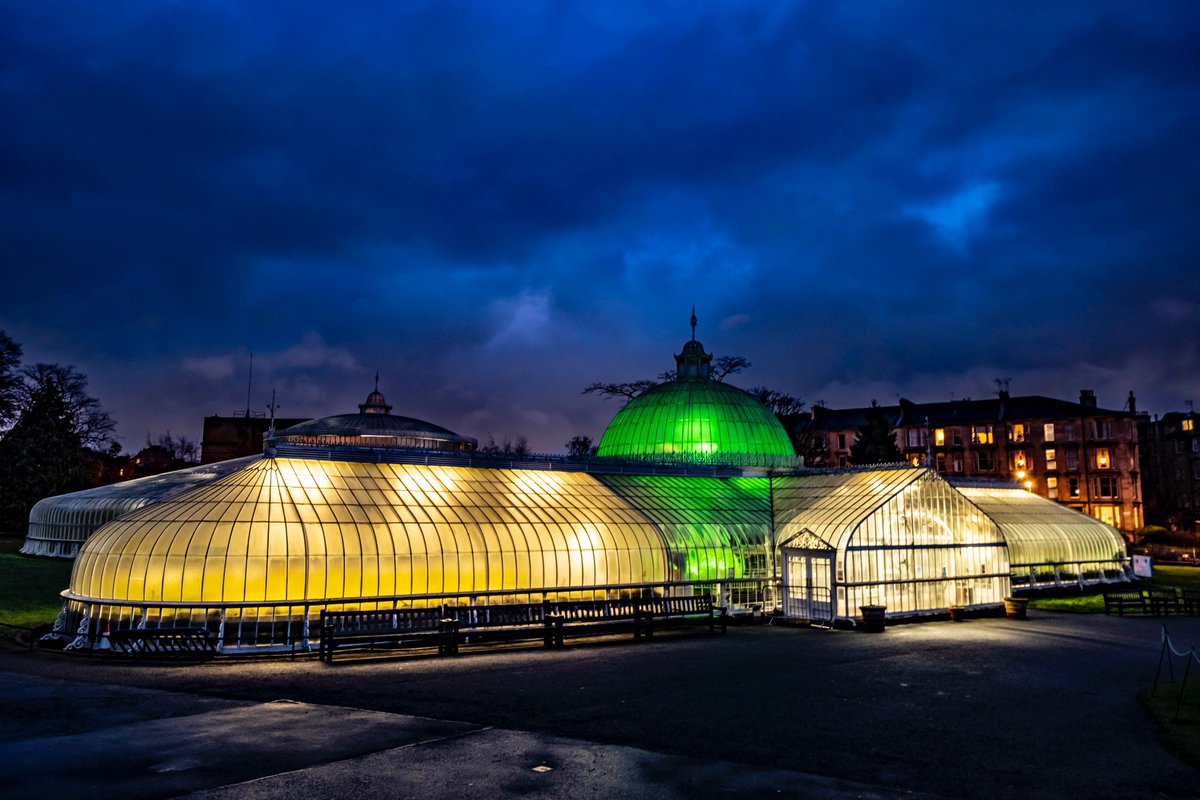 Peter Devlin tweet media