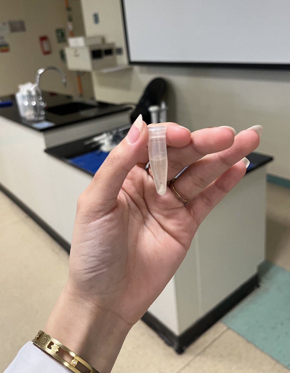 rzaid0's tweet photo. DNA Extraction🧬🪄. https://t.co/UXlm4H2oI9