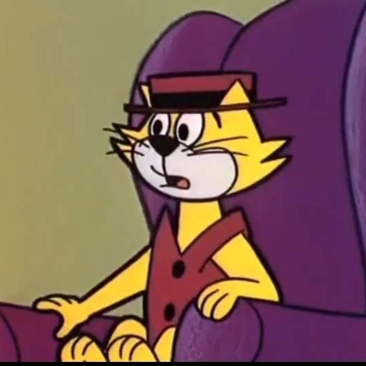 daily_topcat's tweet photo. Day 296

#TopCat https://t.co/3U2M0E5akW