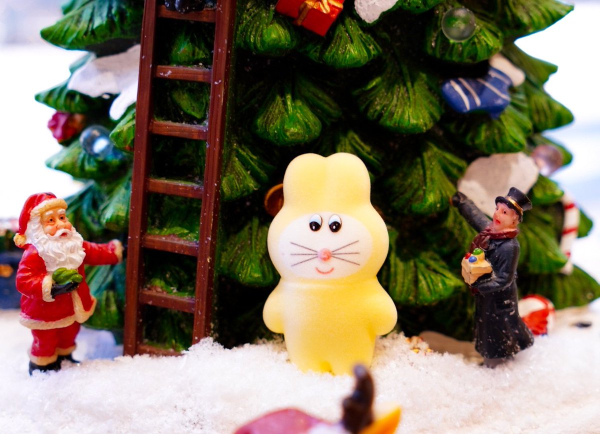 dollxo2's tweet photo. 🎄🎄✨️
#무뉴
#munyu https://t.co/vnpeVwL1Sv