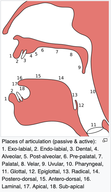 There is a clear difference between श &amp;ष if one pronounces ट properly!
It's impossible to conjuct श+ट in Indian langs. It will automatically be pronounced as ष+ट. First point is Indian langs do not have Alveolar plosives (pic, 4+Tongue). टठडढ are retro-flex plosives(6+back of T)