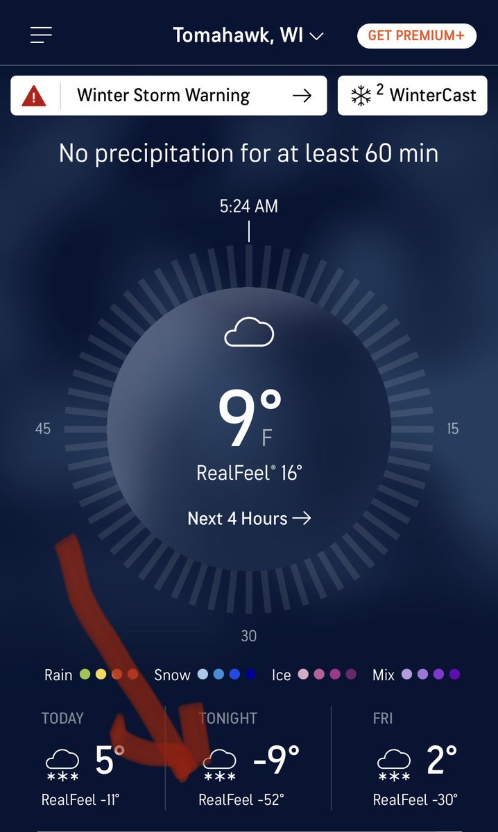 Michele Wingate tweet media