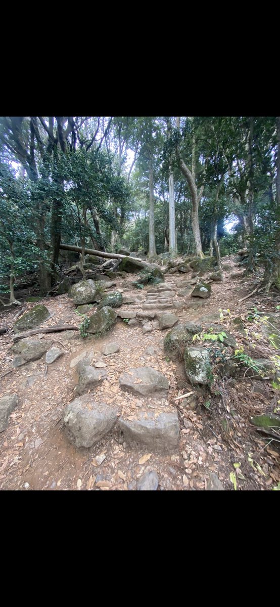 sala_chiki's tweet photo. 茨城県の筑波山登ってきました⛰術後初の登山で往復3時間くらい。登りは良いとして降りは少し違和感がありました。
着地のタイミングが自分のイメージとは少しズレたみたいです。なので岩とかの不均一な段差を降りる際に足がもたつくことがありました。まあこれもいずれは慣れるかなというところ👀 https://t.co/Y15zDIXiAC