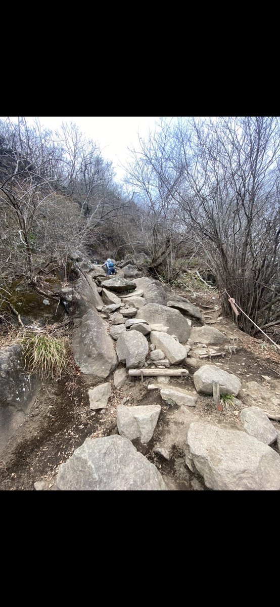 sala_chiki's tweet photo. 茨城県の筑波山登ってきました⛰術後初の登山で往復3時間くらい。登りは良いとして降りは少し違和感がありました。
着地のタイミングが自分のイメージとは少しズレたみたいです。なので岩とかの不均一な段差を降りる際に足がもたつくことがありました。まあこれもいずれは慣れるかなというところ👀 https://t.co/Y15zDIXiAC