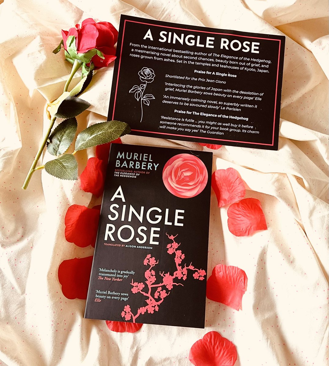 yearsofreading's tweet photo. Thank you so much @IngramPubINTL and @BelgraviaB for this beautiful gifted package that arrived today.
I have wanted to read #ASingleRose by #MurielBarbery tr. by Alison Anderson for a long time, so am thrilled to have a copy in time for Christmas! https://t.co/fTeCWfDAPW