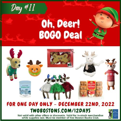 twobostons's tweet photo. 🐶 Oh, Deer! BOGO Deal 🦌 - https://t.co/gyMf0YaQNh https://t.co/BGFxsmNAXP