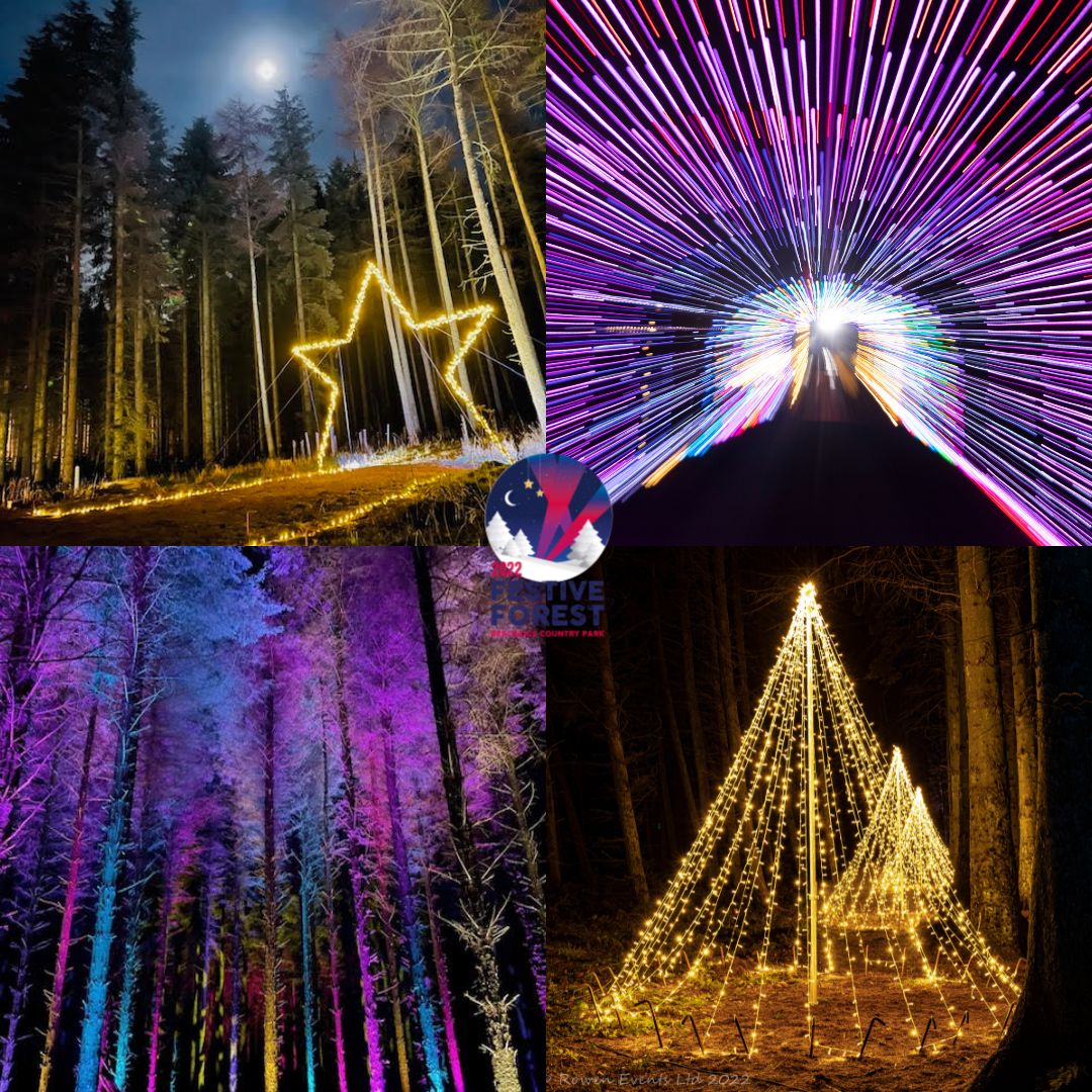BeecraigsFF's tweet photo. 2 nights to go! 

Come and see what all the fuss is about and join in the fun with our FINAL WEEK SPECIAL OFFER - get 10% off all our midweek tickets.

https://t.co/8MqcEtvUoO 

Please use discount code FINAL10 on checkout 
*note - offer excludes Santa tickets

🎄👍🏻🎅🏻

#BFF22 https://t.co/wJqJPUMD14